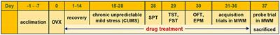 Jie-Yu Pill, A Proprietary Herbal Medicine, Ameliorates Mood Disorder-Like Behavior and Cognitive Impairment in Estrogen-Deprived Mice Exposed to Chronic Unpredictable Mild Stress: Implication for a Potential Therapy of Menopause Syndrome